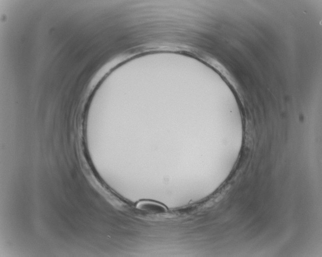 X0000082721187200702232314