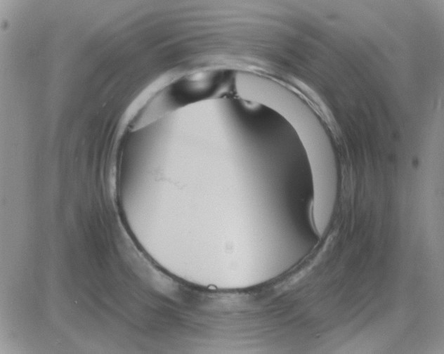 X0000082721188200702232314