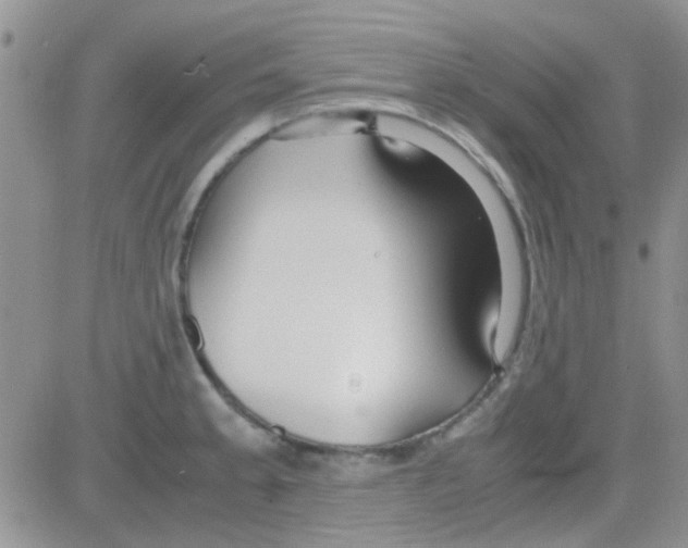 X0000082721189200702232314