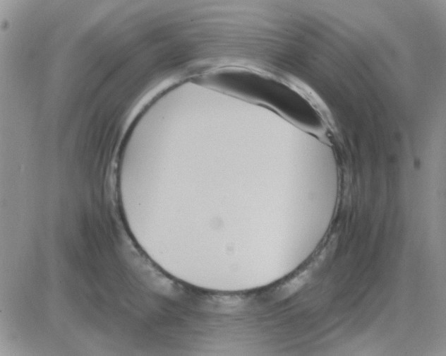 X0000082721190200702232314