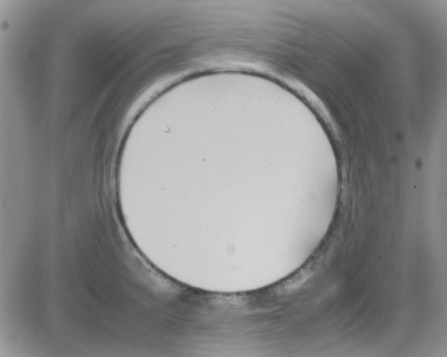 X0000082721191200702232314