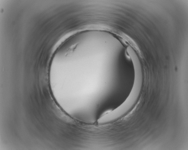 X0000082721192200702232314