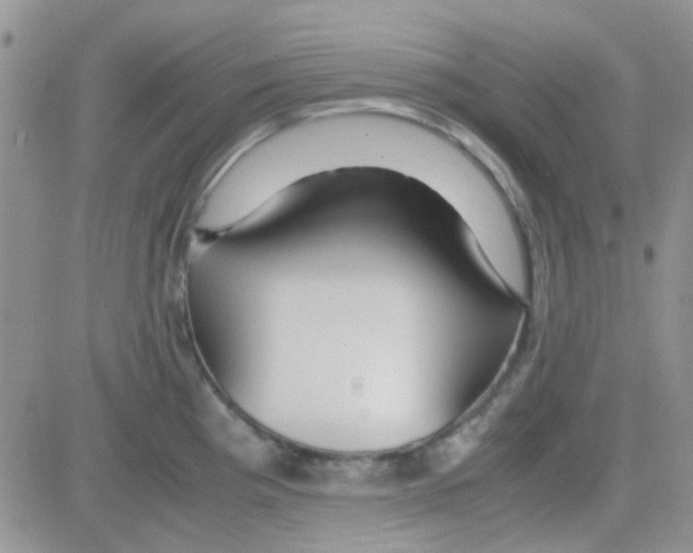 X0000082721193200702232314