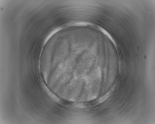 X0000082721194200702232314