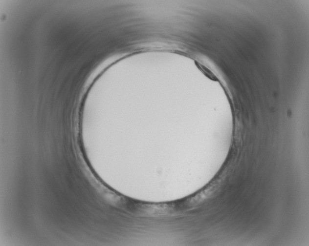 X0000082721195200702232313