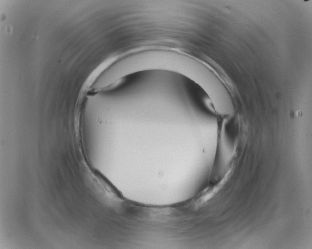 X0000082721196200702232313