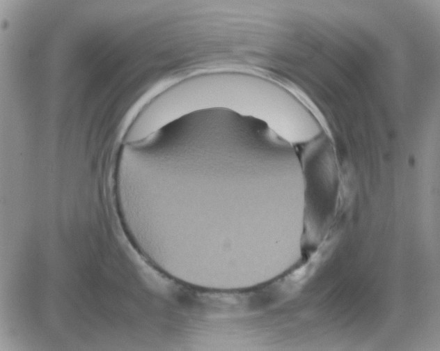 X0000082721197200702232313