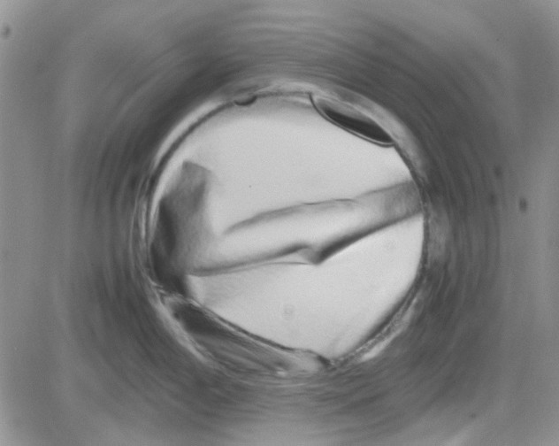 X0000082721198200702232313