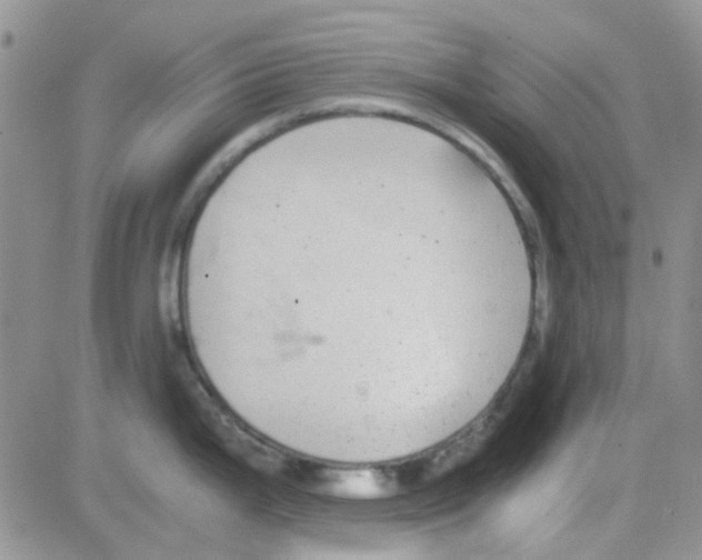 X0000082721199200702232313