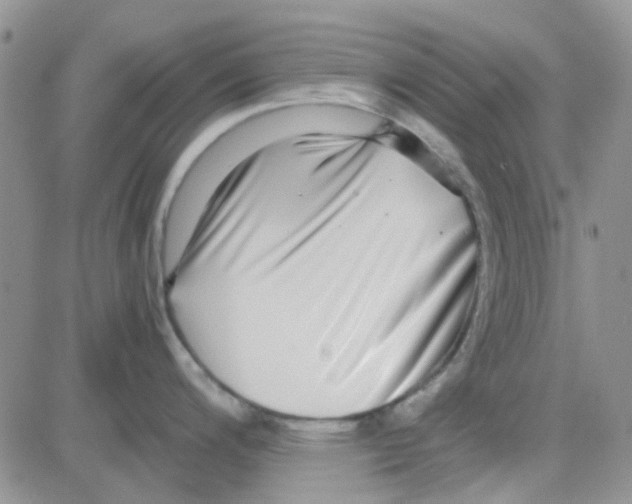 X0000082721200200702232313