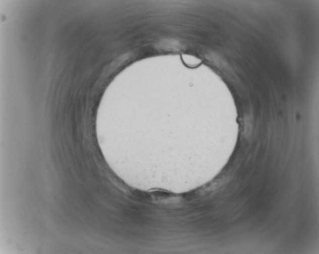 X0000082721201200702232313