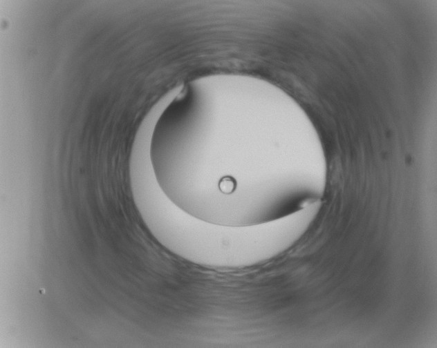 X0000082721202200702232313