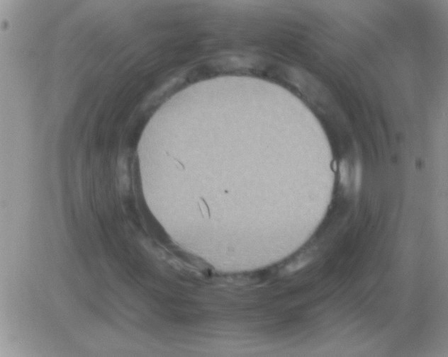 X0000082721203200702232313