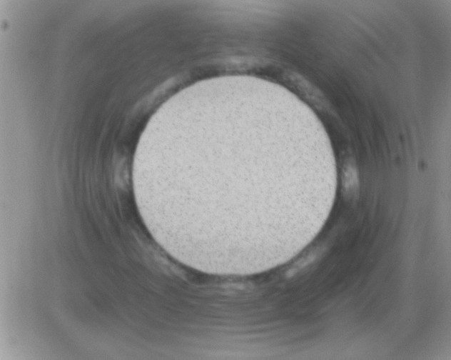 X0000082721204200702232313