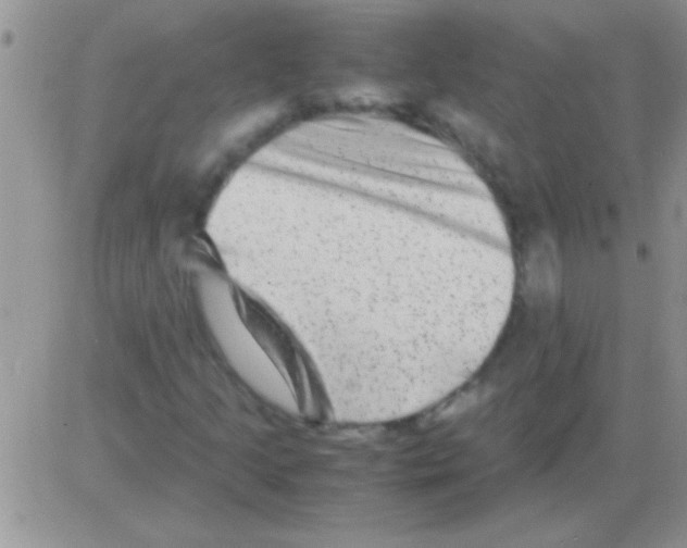 X0000082721205200702232313