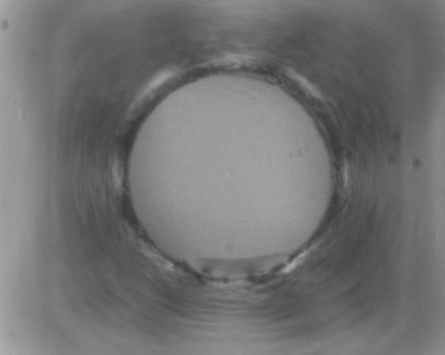 X0000082721206200702232313