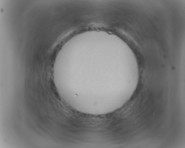 X0000082721207200702232313