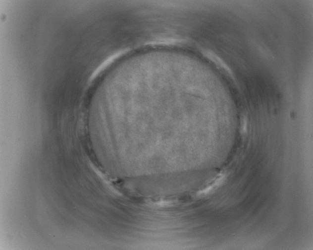 X0000082721208200702232313