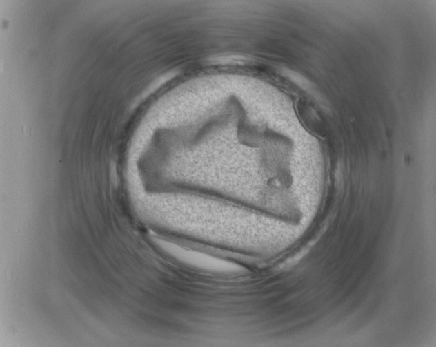 X0000082721209200702232313