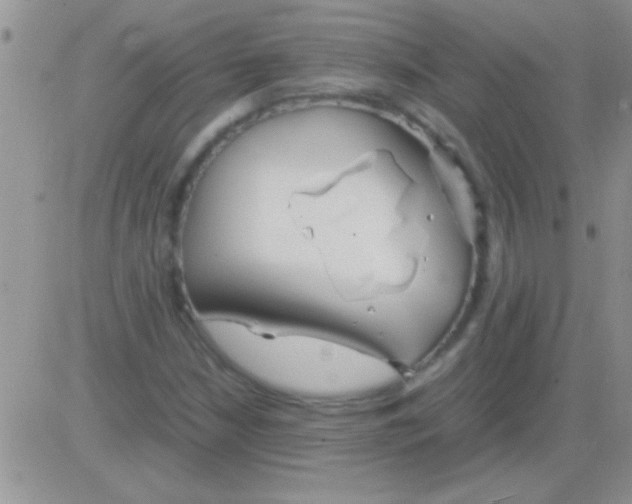 X0000082721210200702232313