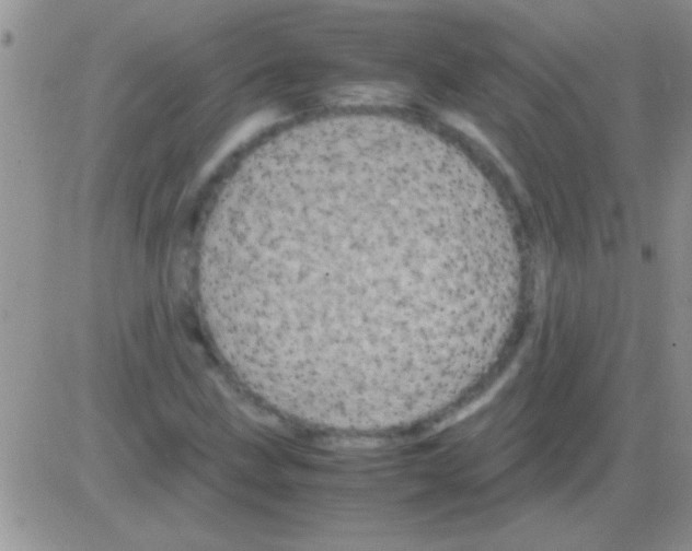 X0000082721211200702232313