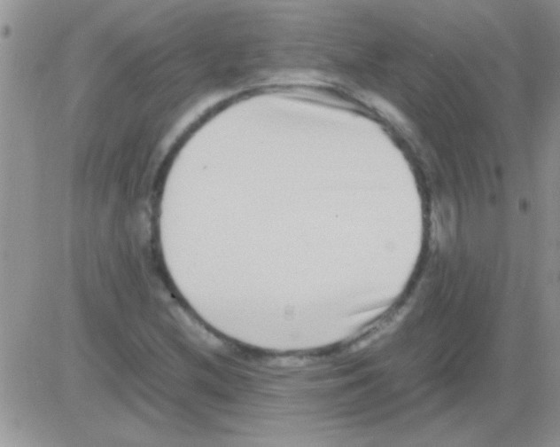 X0000082721212200702232313