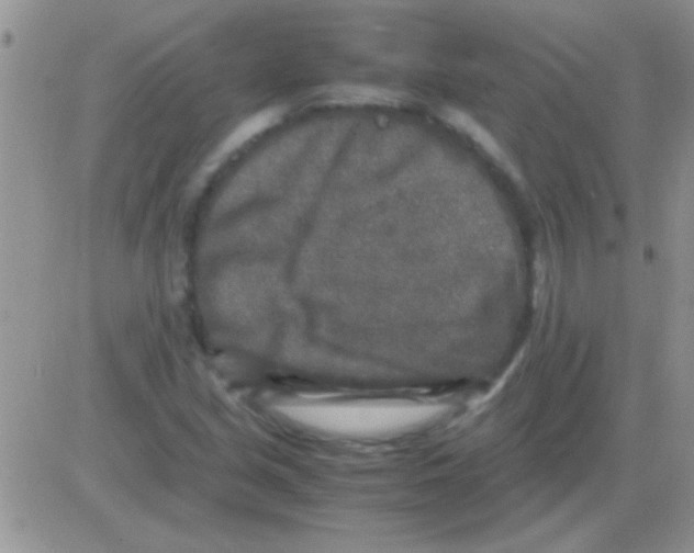 X0000082721213200702232313