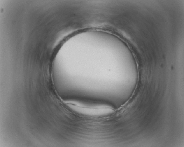 X0000082721214200702232313