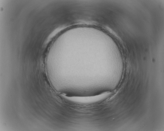 X0000082721215200702232313