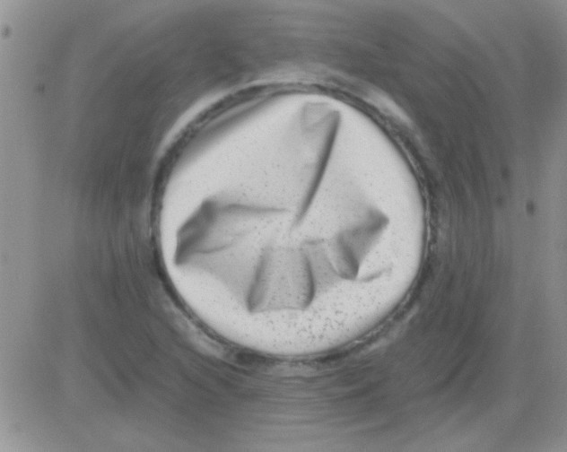 X0000082721216200702232313