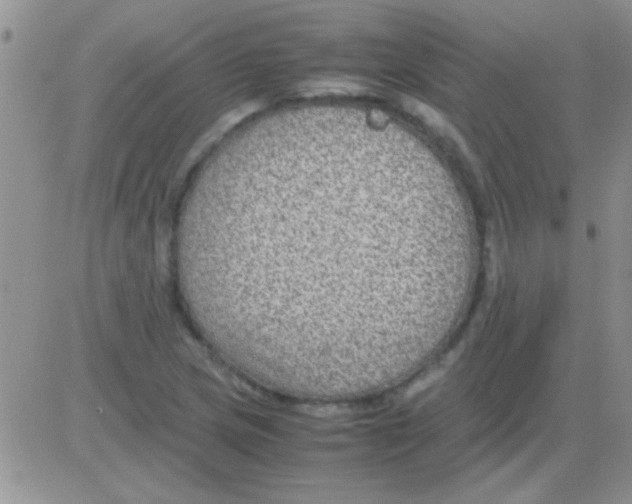 X0000082721217200702232313