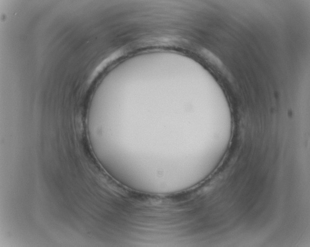 X0000082721218200702232313