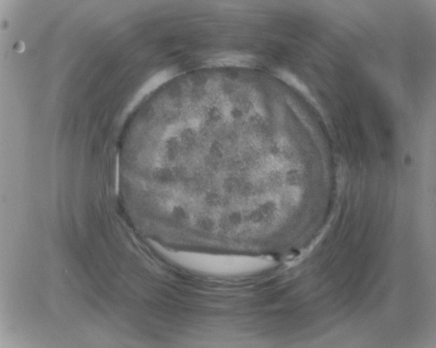 X0000082721219200702232313