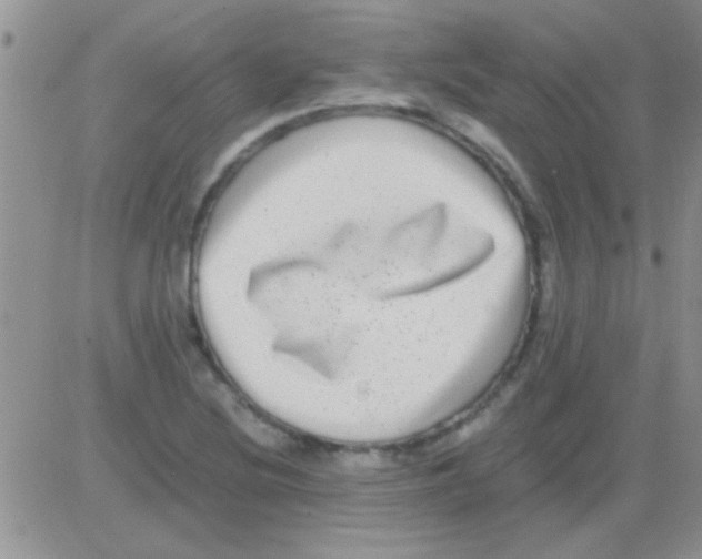 X0000082721220200702232313