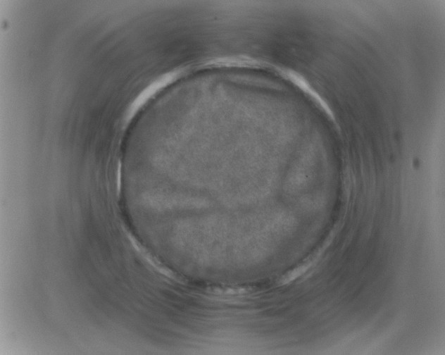 X0000082721221200702232313