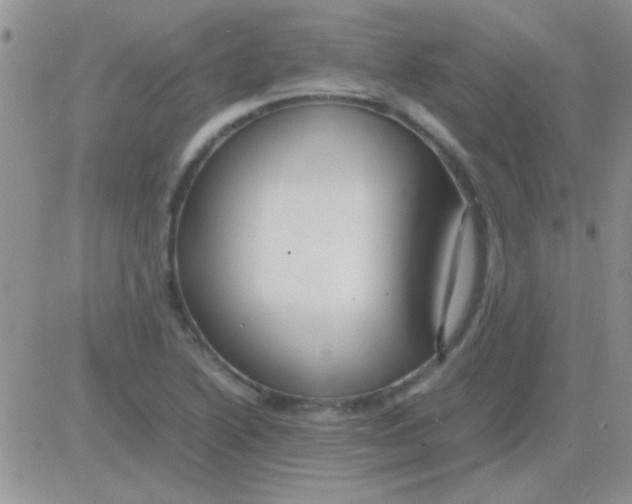 X0000082721222200702232313