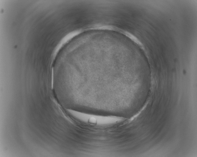 X0000082721223200702232313