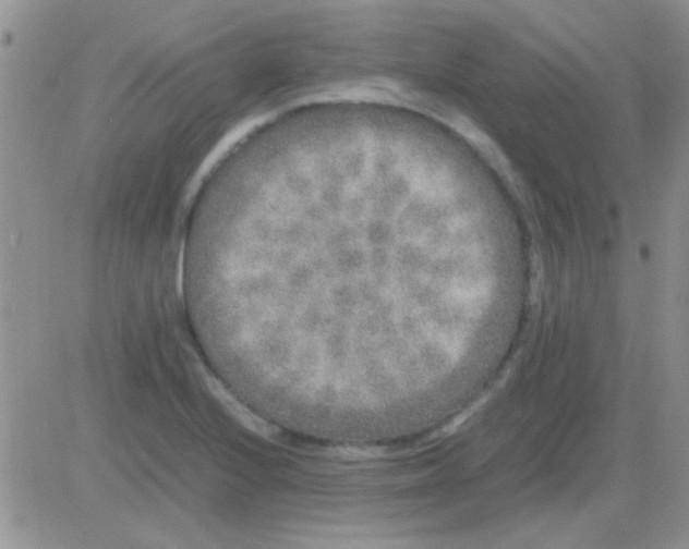 X0000082721224200702232313