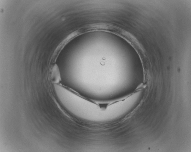 X0000082721225200702232313