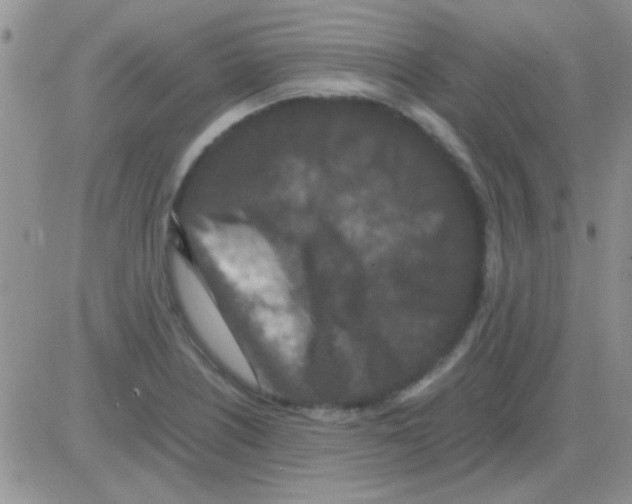 X0000082721226200702232313