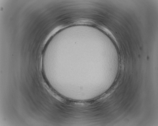 X0000082721227200702232313