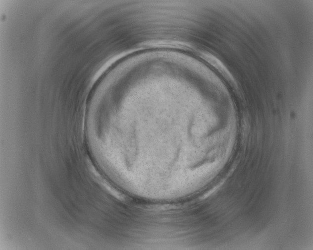 X0000082721228200702232313