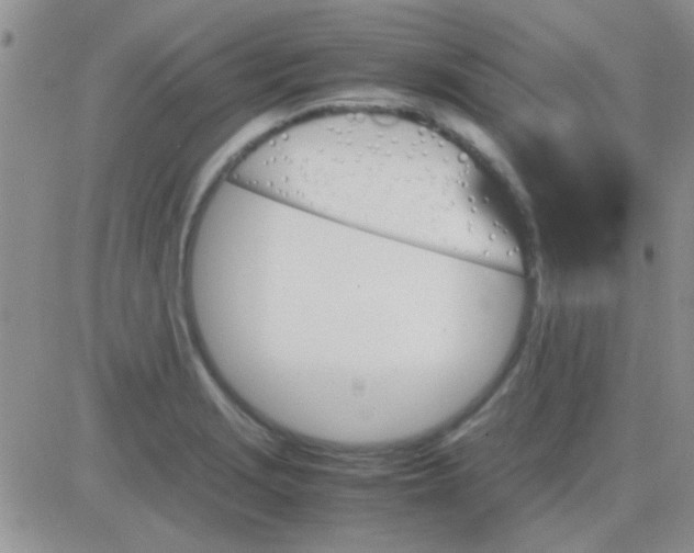 X0000082721229200702232313