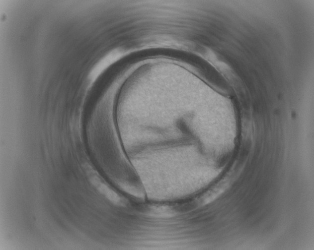 X0000082721230200702232313