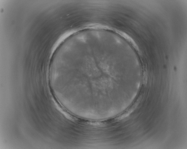 X0000082721231200702232313