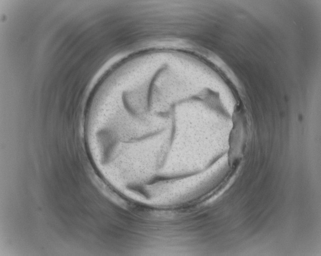 X0000082721232200702232313