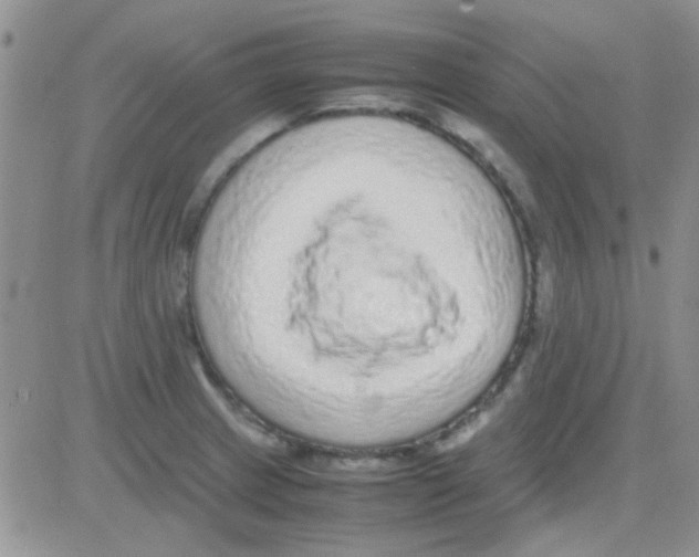 X0000082721233200702232313