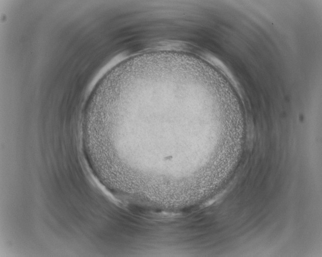 X0000082721235200702232313