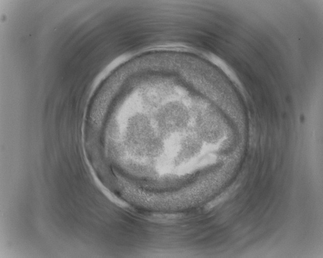 X0000082721237200702232313