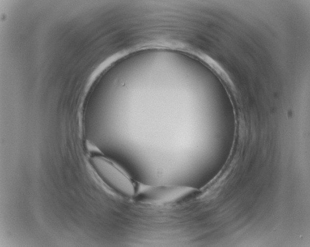 X0000082721238200702232313